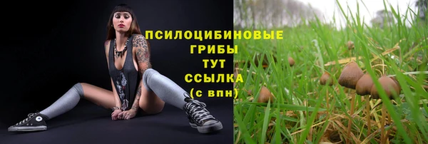 мдпв Белоозёрский