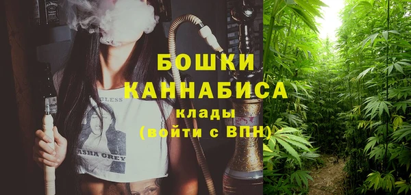 ГАЛЛЮЦИНОГЕННЫЕ ГРИБЫ Белокуриха