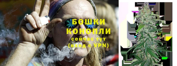 ГАЛЛЮЦИНОГЕННЫЕ ГРИБЫ Белокуриха