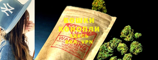 ГАЛЛЮЦИНОГЕННЫЕ ГРИБЫ Белокуриха