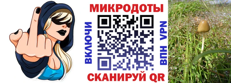 Псилоцибиновые грибы Magic Shrooms  Юрюзань 